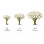 Enhance your bouquet with Add-On: Baby’s Breath (Gypsophila)