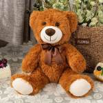 Teddy Bear Brown Plush
