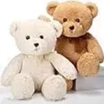 Two teddy bears, one white and one brown, sitting together