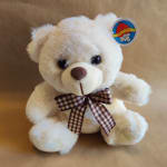 White teddy bear with a plaid bow and tag