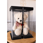 Teddy Bear Box