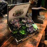 Honey, Did You Happen to See My Cigars?