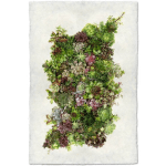 Succulent arrangement shaped like a seated bear on a white background