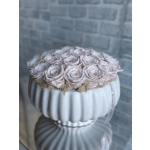 Pale pink roses arranged in a white ribbed vase