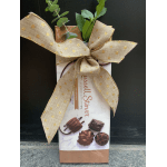 Gift box of assorted chocolates tied with a gold ribbon and greenery