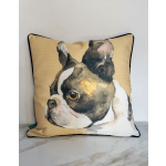 Decorative pillow with a painted dog face on a tan background