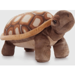 Tommy the Desert Tortoise