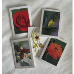 Assorted floral greeting cards with rose, bird, and flower designs