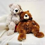 Two plush teddy bears sitting together on a white fabric backdrop