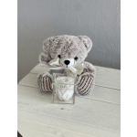 Plush teddy bear holding a clear box with white roses