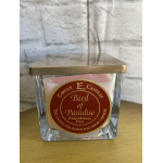 Square glass candle jar with a gold lid and Bird of Paradise label