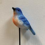 Bluebird on pick
