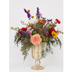 Sprig Brights Designers Choice