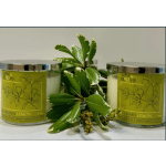 Two rosemary lemon candles beside a small potted plant