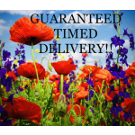 Field of red poppies and purple flowers with delivery text overlaid