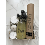 Beach Girl Favorites