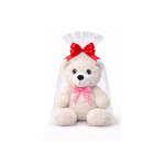Plush teddy bear in clear gift wrap with red and pink bows