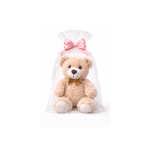 Teddy bear in a clear gift bag with a pink bow