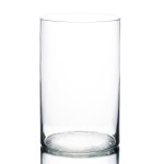 Clear cylindrical glass vase on a white background