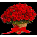 Basket of red roses tied with a red ribbon