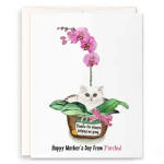 Mother's Day card with a cat in a flower pot and pink orchids