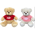 Two teddy bears wearing red and pink sweaters