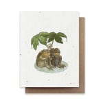 Greeting card with two frogs under a small plant