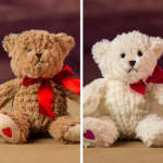 Two plush teddy bears with red ribbons and heart patches