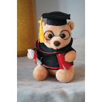Plush teddy bear in graduation cap and gown holding a diploma