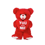 Red teddy bear holding a heart that says "YOU and ME"