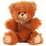 Small Plush Bear