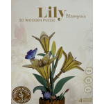 Rowood Wooden Bloom Craft