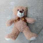 Light Brown Teddy Bear