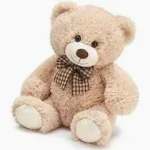Plush Bear