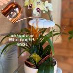 Slow Dripping Watering Clouds