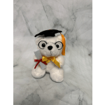 Graduation Bears