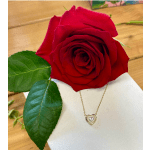 Sparkly Heart Necklace