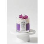 CELE Velvet Berry Blossom