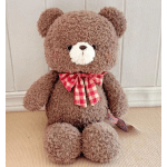 The Sweetheart Teddy