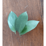 Three green leaves on a wooden surface