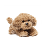 Small plush puppy toy with curly tan fur