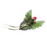 Decorative bird-shaped floral pick with green and purple feathers