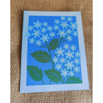 Blue floral card with small white flowers and green leaves