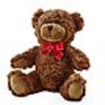 Plush Animal Add On
