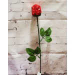 Chocolate Rose