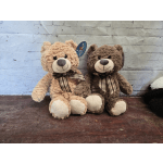 Teddy