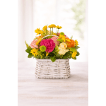 Basket of joy!