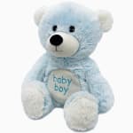 Light blue teddy bear with "baby boy" text on its belly