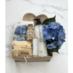 Hydrangea Dreams