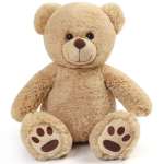 Plush teddy bear sitting on a white background